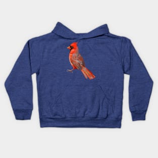 Cardinal Kids Hoodie